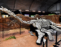 공룡 화석 체험관